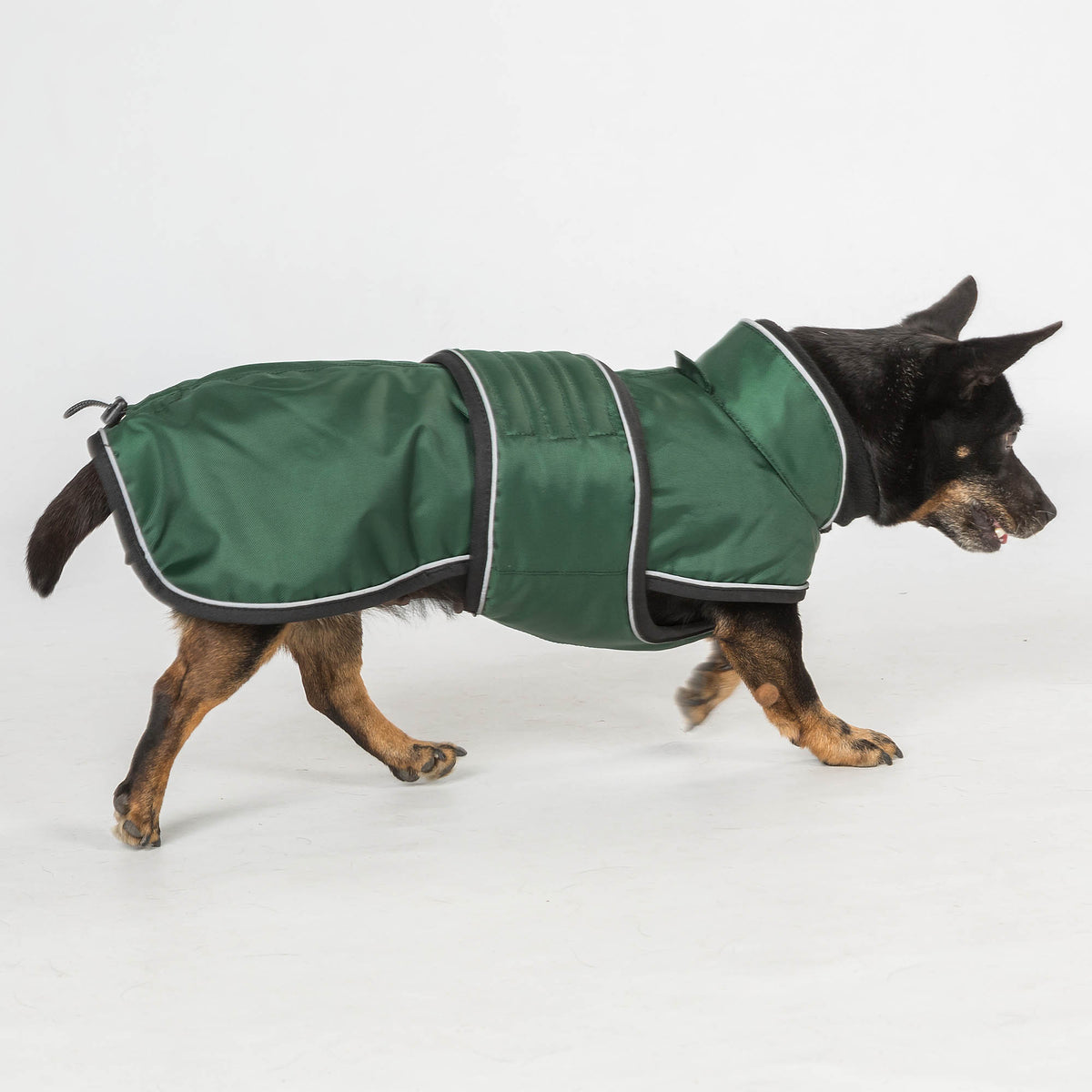 "Buddy" Long Dog Coat