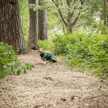 "Buddy" Long Dog Coat