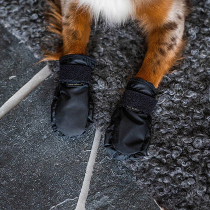"Koda" Pet Shoes