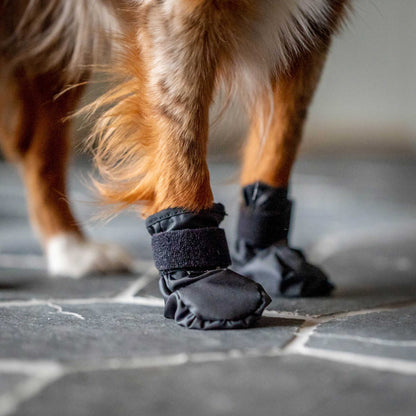 "Koda" Pet Shoes
