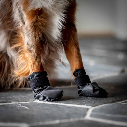"Koda" Pet Shoes